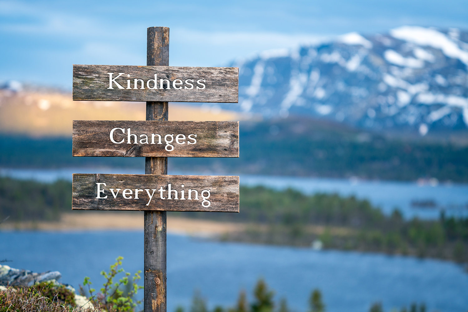 kindness changes everything text on wooden signpost outdoors in